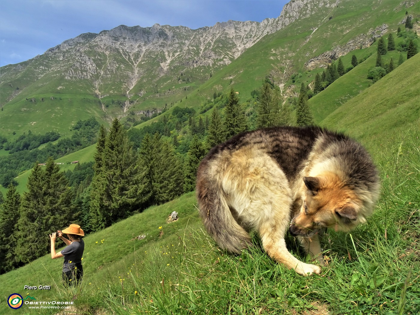 25 Usciti dal bosco in decisa salita su pratoni carichi d'erba.JPG